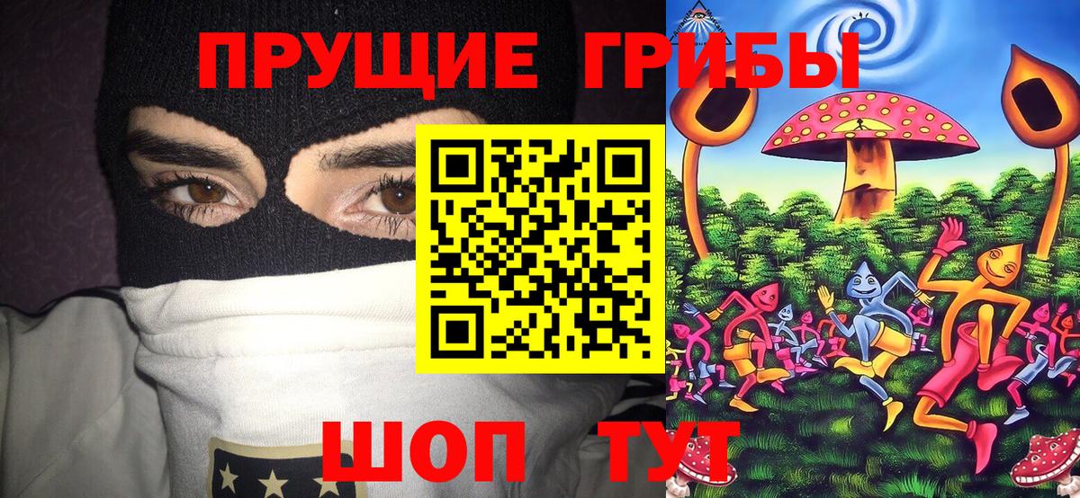 Псилоцибиновые грибы мухоморы Шадринск