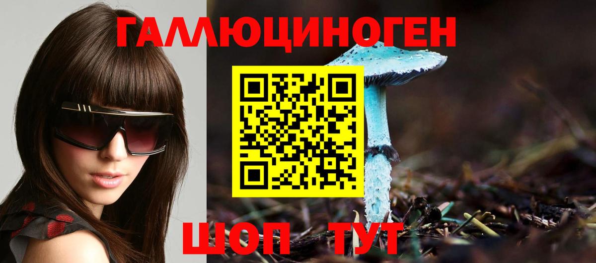 Шадринск  Галлюциногенные грибы GOLDEN TEACHER  Галлюциногенные грибы GOLDEN TEACHER  Вход с VPN 